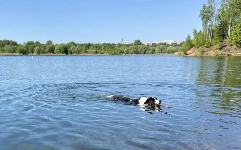 Nasze ulubione miejsca spacerowe – Brandka