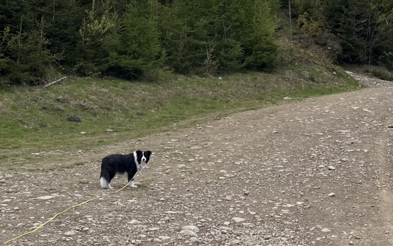 Co warto spakować przed wspólną wyprawą?
