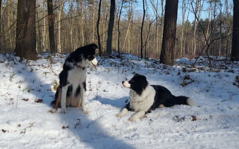 Nasze ulubione miejsca spacerowe – Starganiec